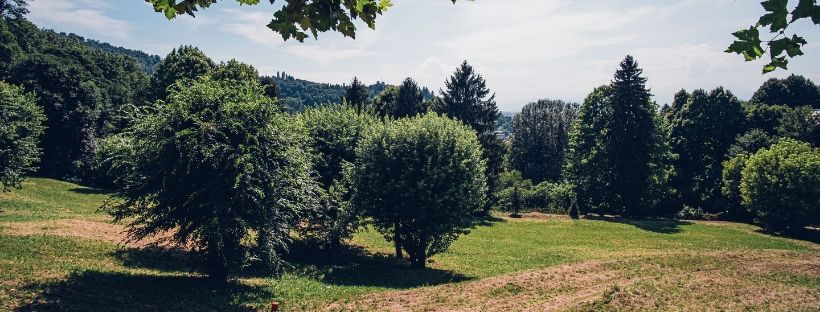 san camillo torino bilancio sociale capitale naturale